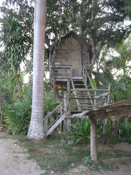 This was my treehouse.  $4.50/night